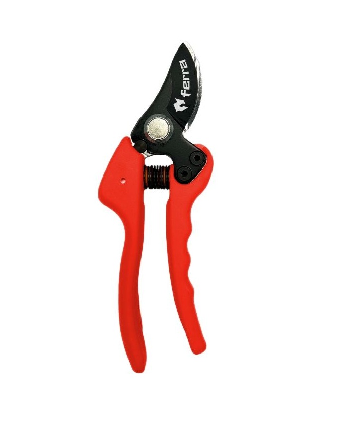 Dārza grieznes ar izliektu asmeni Ferra FR-BPP-ES