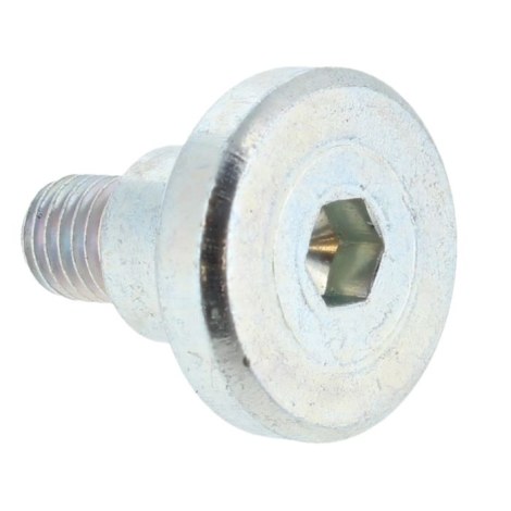 Винт Bosch 160343507R