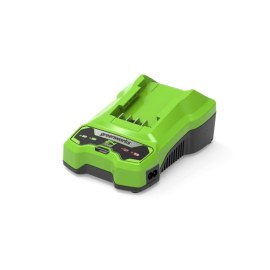 Зарядное устройство Greenworks G24C; 24 V