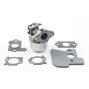 Karburators Briggs&Stratton 790120