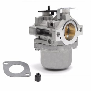 Karburators Briggs&Stratton 799728
