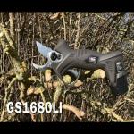 Texas GS1680Li